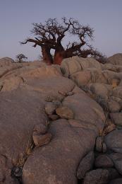 Makgadikgadi - Botswana