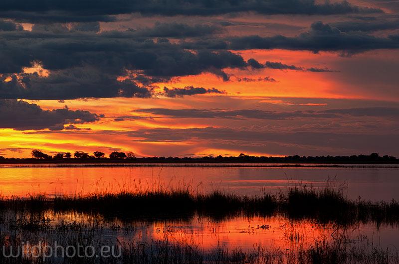 Chobe NP , Botswana