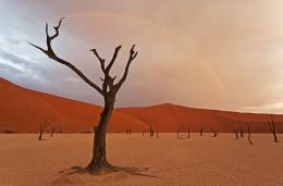 Namib Desert , Namíbie
