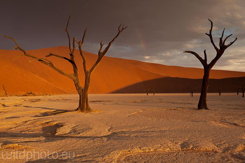 Namib Desert , Namíbie