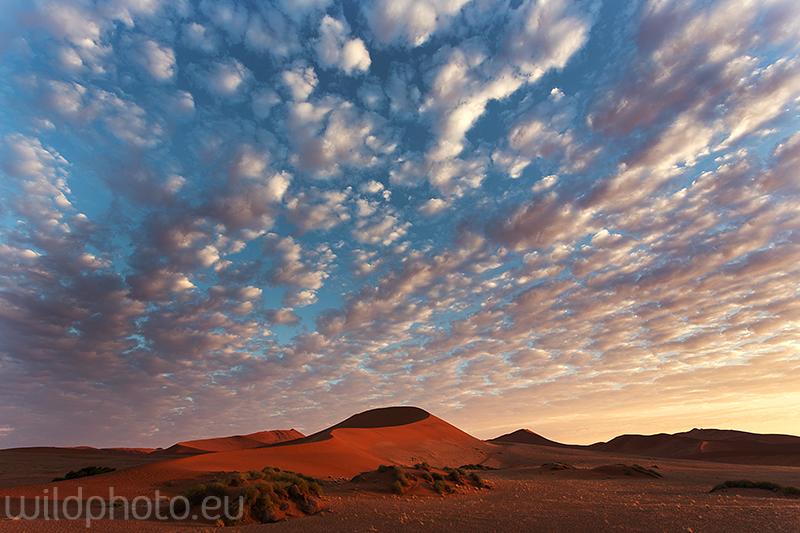 Namib Naukluft NP - Namíbie
