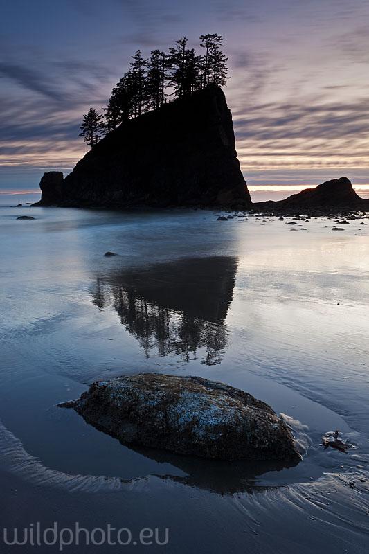 Olympic NP , Washington